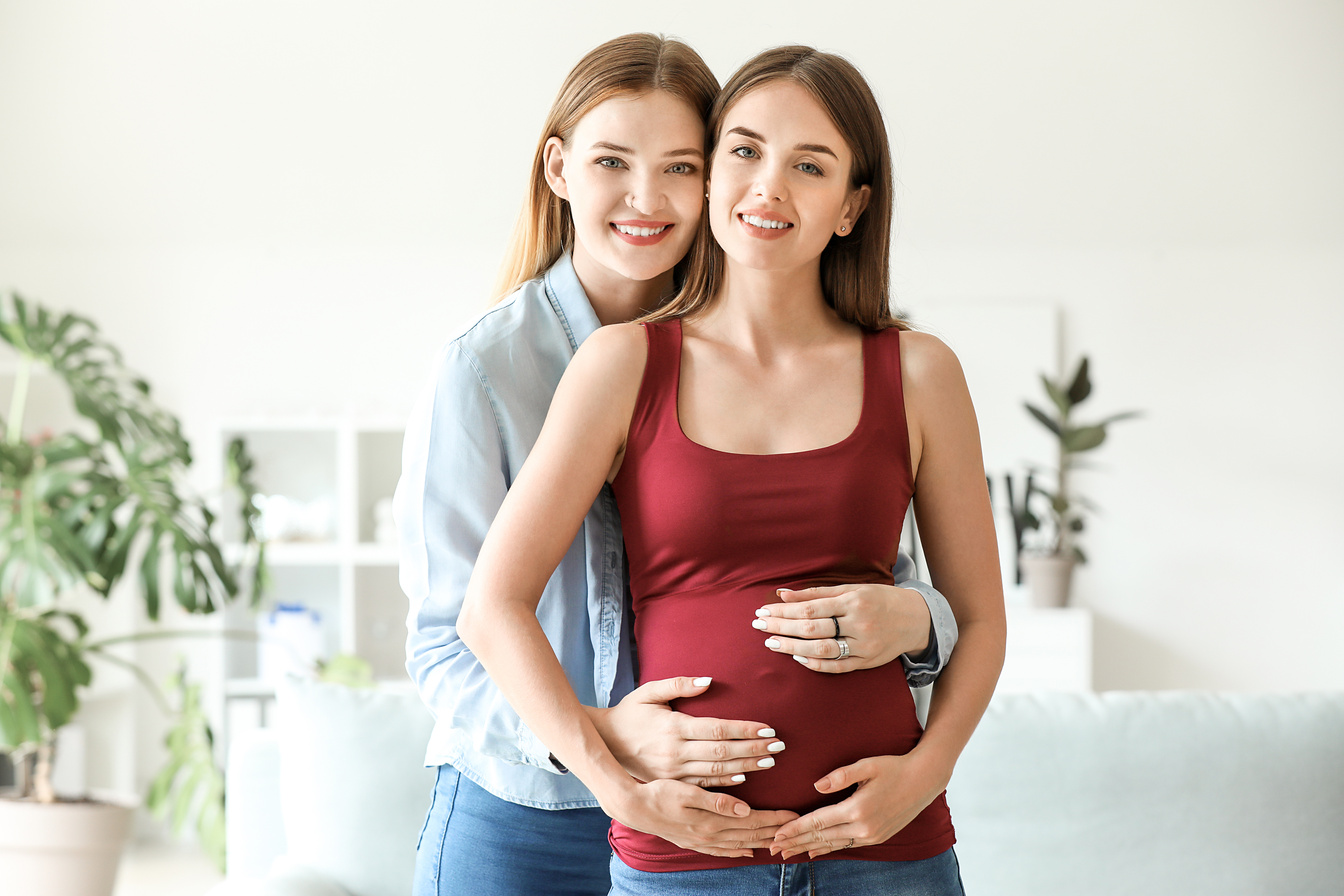Happy Pregnant Lesbian Couple at Home